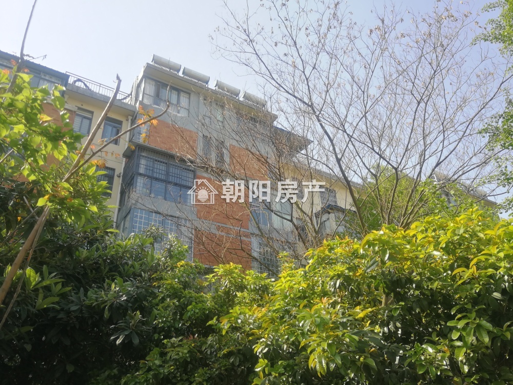信谊四季城 132平 三室二厅 精装 学区房 满两年