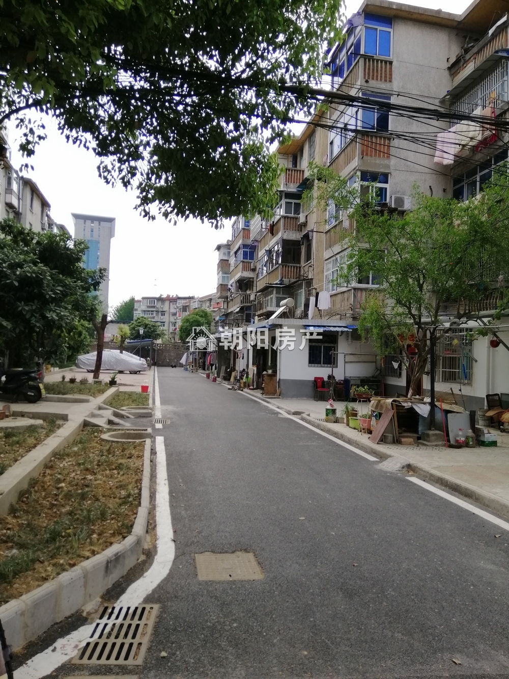 桂苑西区 61平 朝南两室 交通便利 满两年