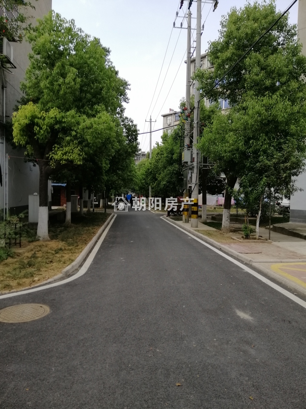 桂苑西区 61平 朝南两室 交通便利 满两年
