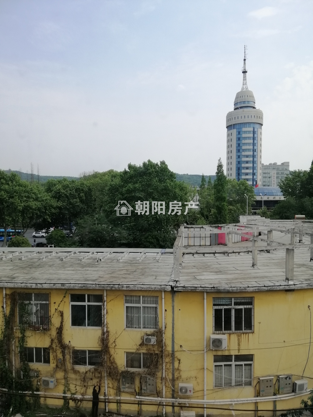 桂苑西区 61平 朝南两室 交通便利 满两年