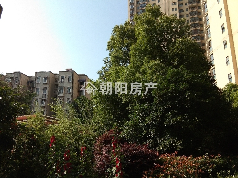 西湖天地 113平 精装南向三室 交通便利 随时看房
