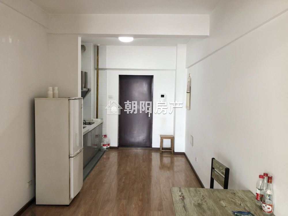 中央国际广场 53平 朝南精装一居 配套齐全 随时看房