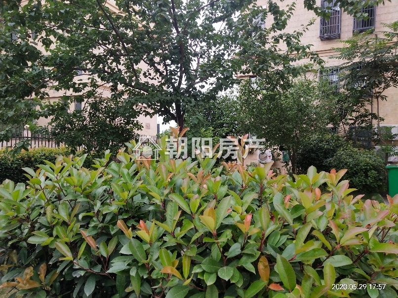 锦绣广场 109平 南向三室两厅 满五唯一 学区房