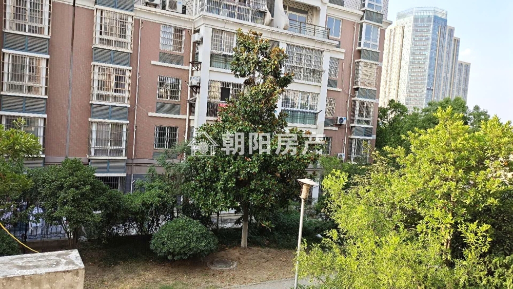 银鹭万树城 131平 南向精装三室 免税 学区房 随时看房