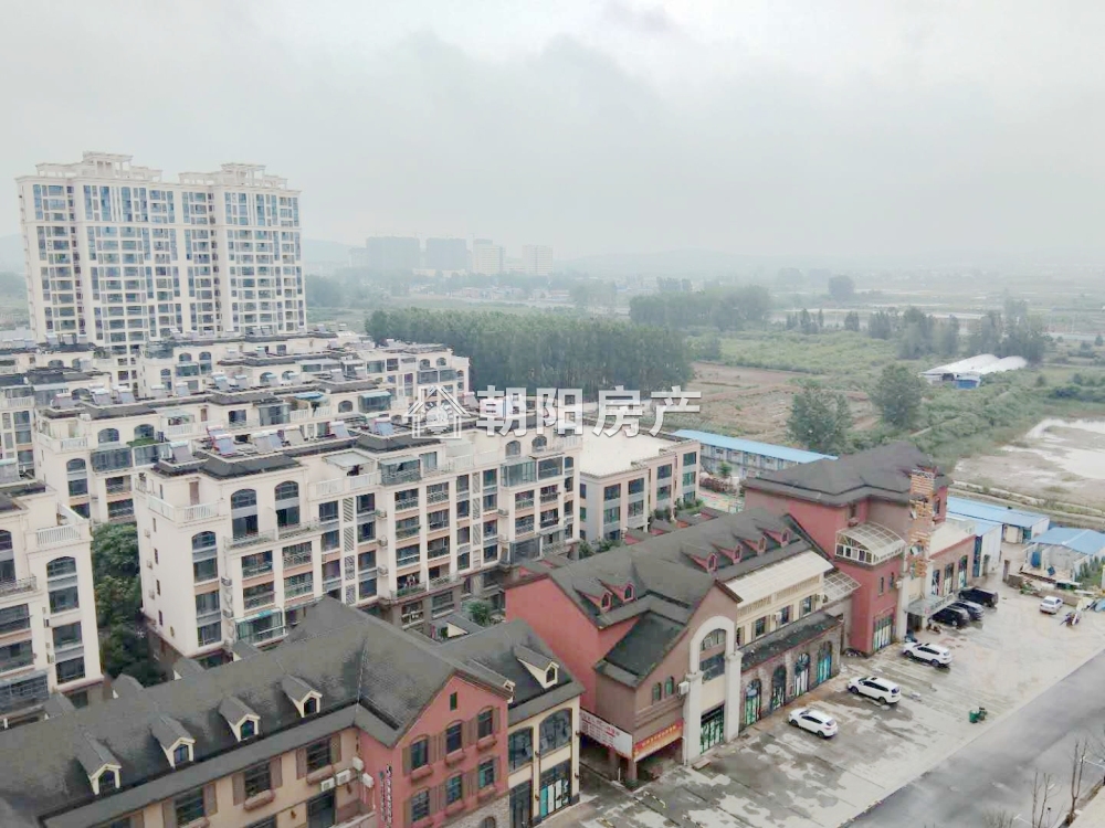 金地天悦 139平 南向四室二厅 学区房 交通便利 随时看房