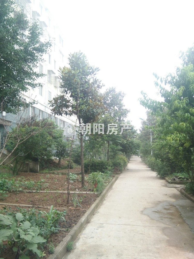 周郢新村 90平 朝南两居 采光好 随时看房