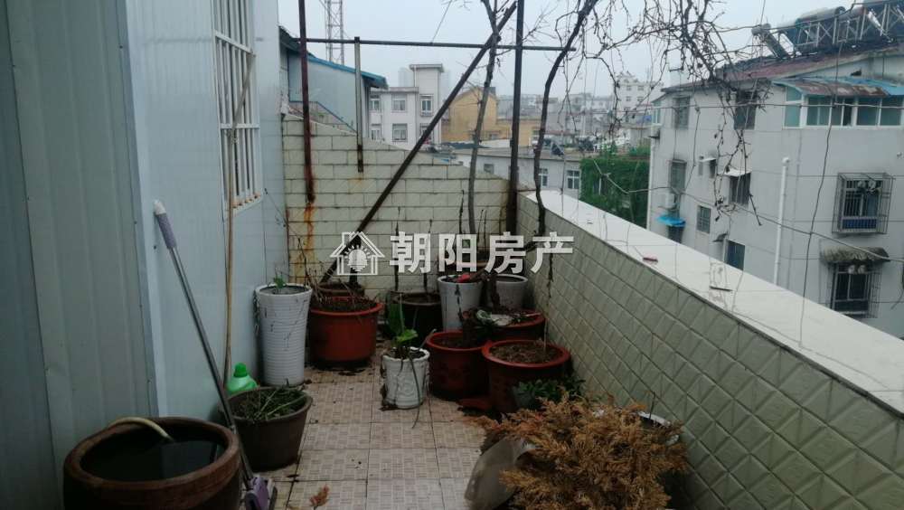 龙泉北村 205平 南向四室精装 满两年 学区房 交通便利