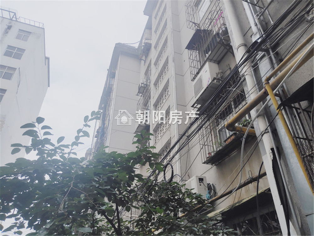计委小区 109平 南北通透三室 免税房源 性价比极高