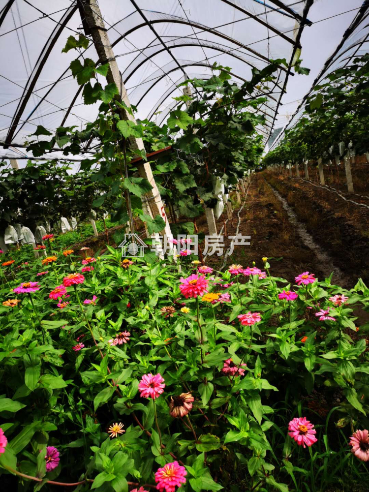 金鑫花园 5280平 大面积土地 地段优越 交通便利