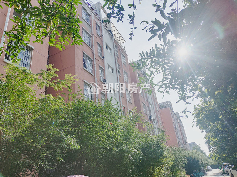 居仁村一区 89平 朝南三居 免税 2909元/平