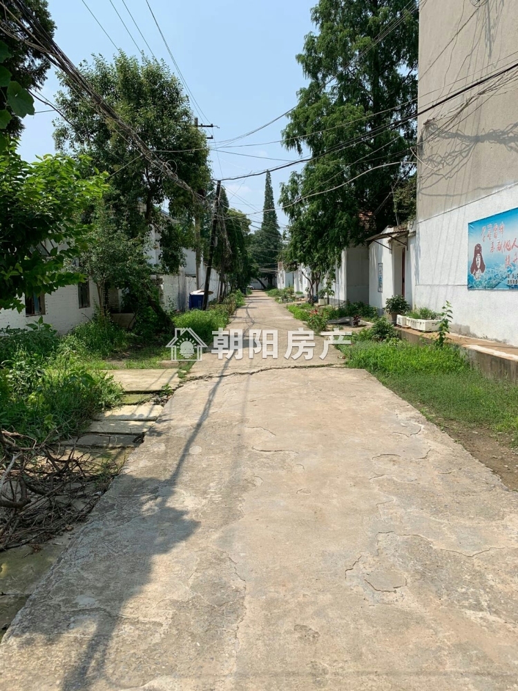 卫校教师楼 62平 朝南两居 满两年 1613元/平