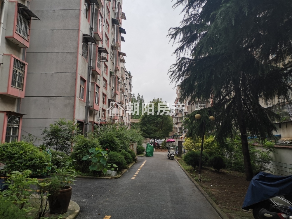 金玉新村 142平 南北通透三室二厅 精装 学区房 单价2323元/平