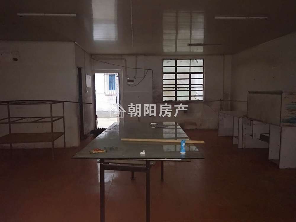 田家庵国庆街道 169平 临街旺铺 人流密集