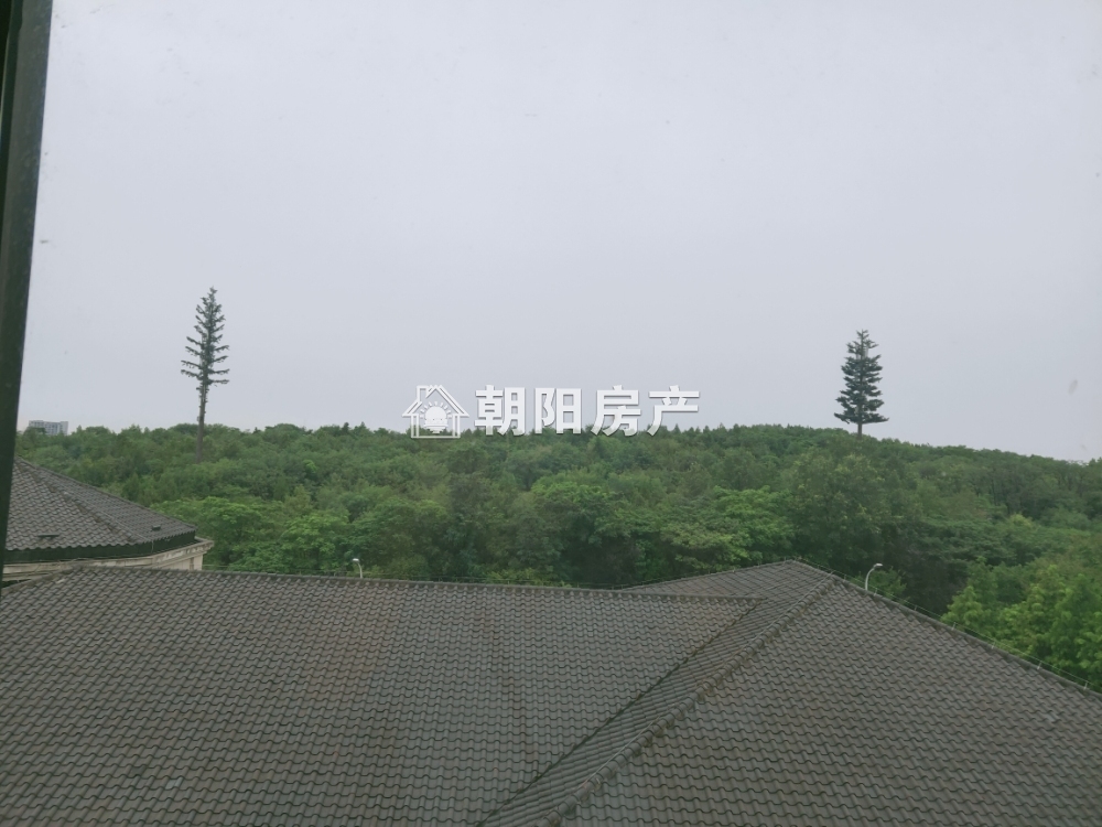 泉山湖 78平 朝南两室精装 学区房 交通便利
