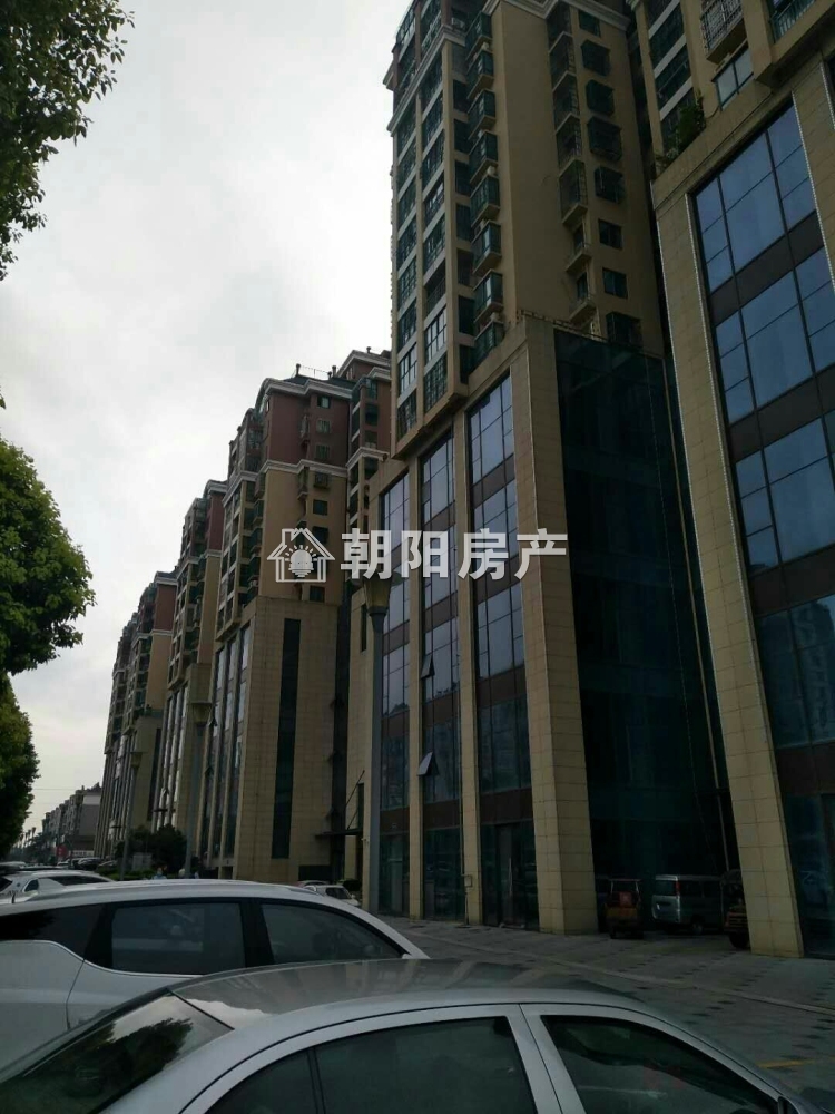 中环国际广场仕府 87平 精装两室 南向采光好 交通便利