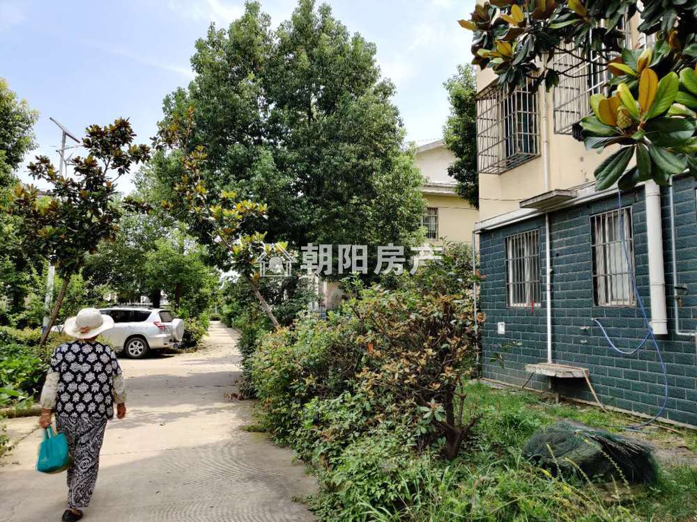 周郢新村 243平 南向六室精装 满五唯一 采光好