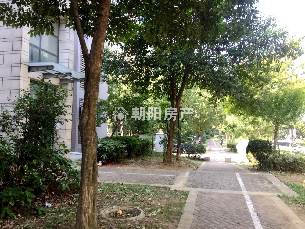 南山村C2 133平 南向三室 满两年 学区房
