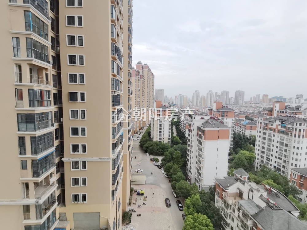 中环国际广场荣府 30平 一室一厅 交通便利 学区房 采光好