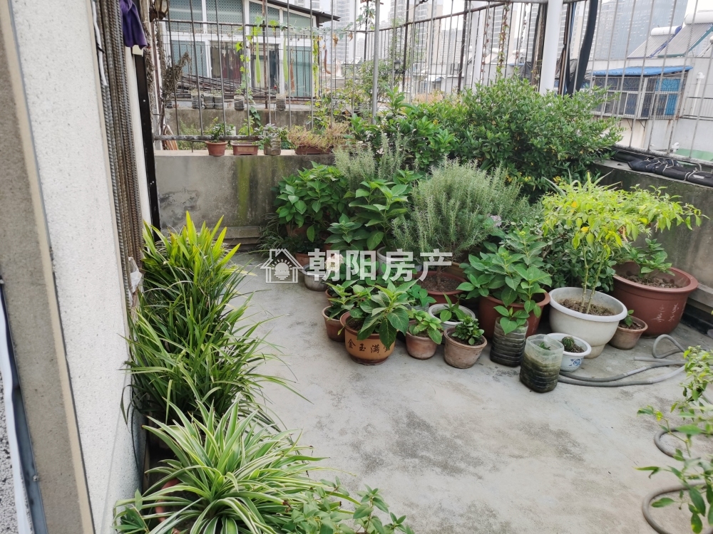 天桥小区 101平 南向三居 满五唯一 学区房 4249元/平