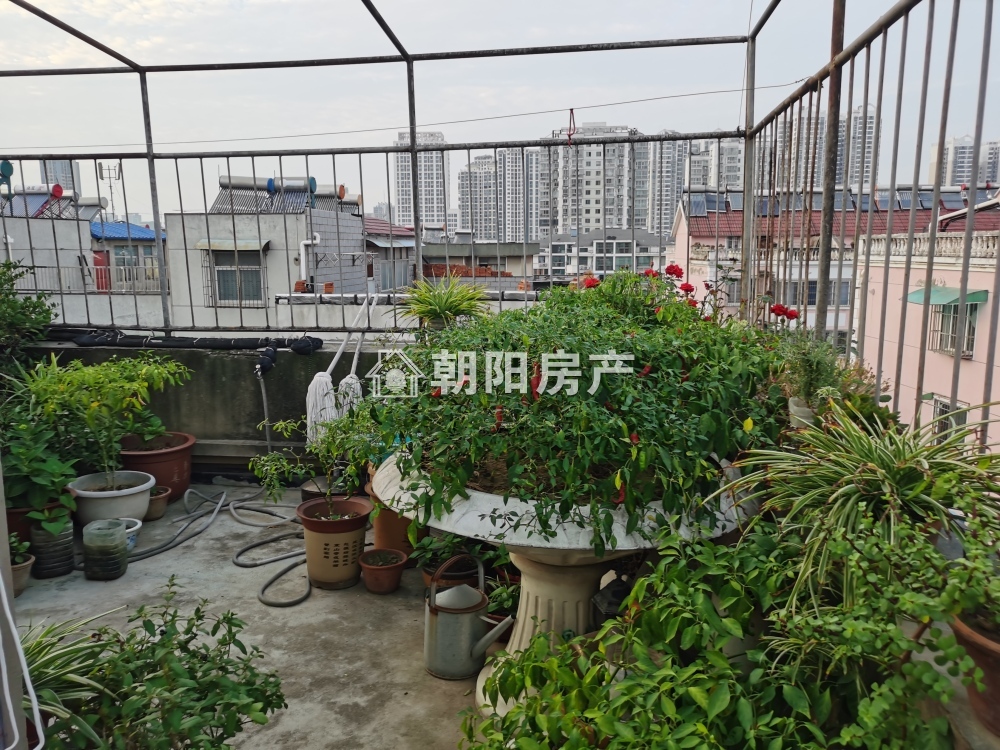 天桥小区 101平 南向三居 满五唯一 学区房 4249元/平
