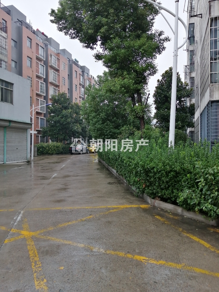 景兰花园 88平 朝南两室精装 交通便利 采光好