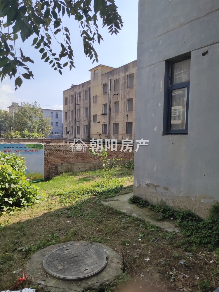 毕家岗新建村A区 70平 南向两室一厅 采光好 随时看房