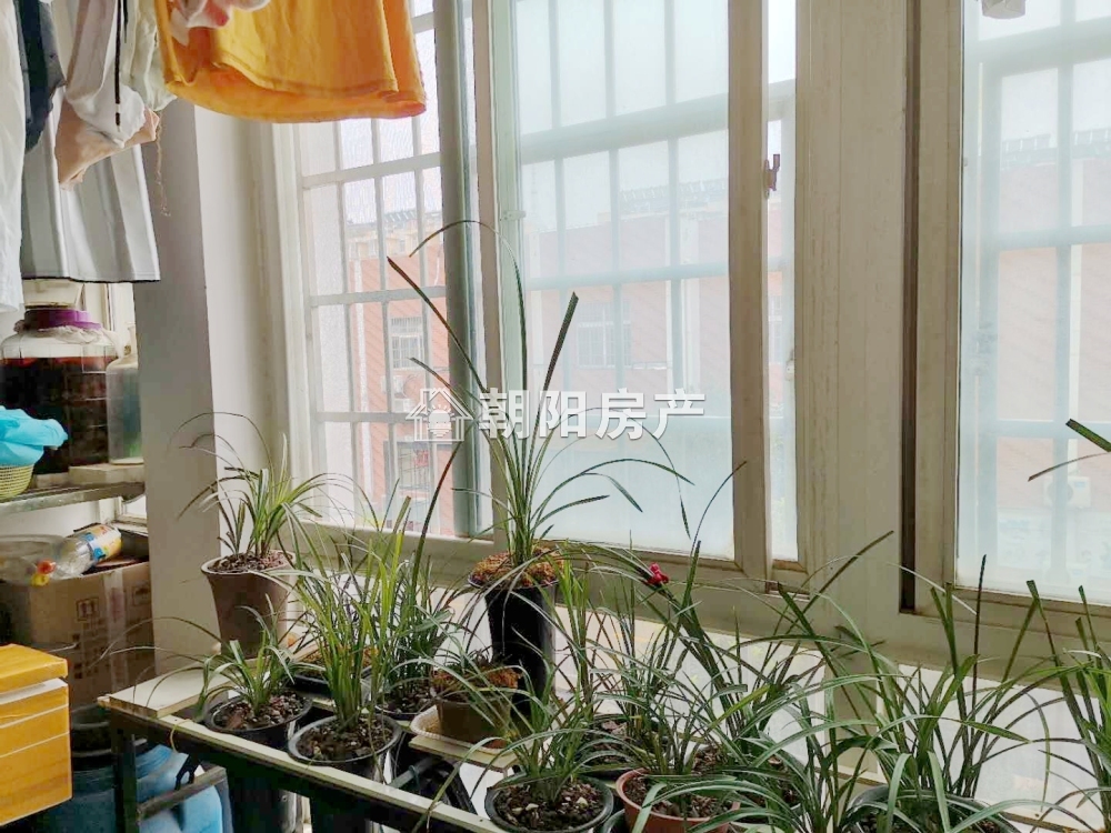 金茂阳光花园 87平 南向两居 学区房 满两年