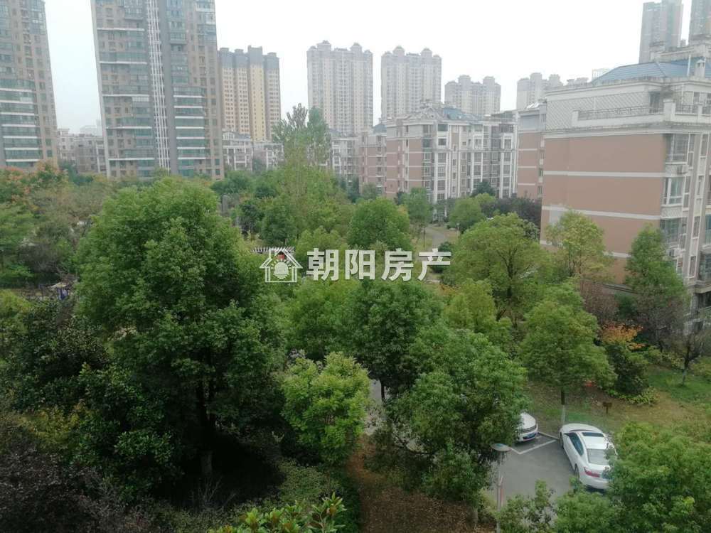 银鹭万树城 125平 南向精装三居 满两年 交通便利 学区房
