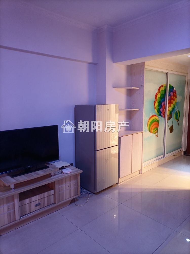海沃世贸 53平 朝南一室一厅 精装 交通便利配套齐全