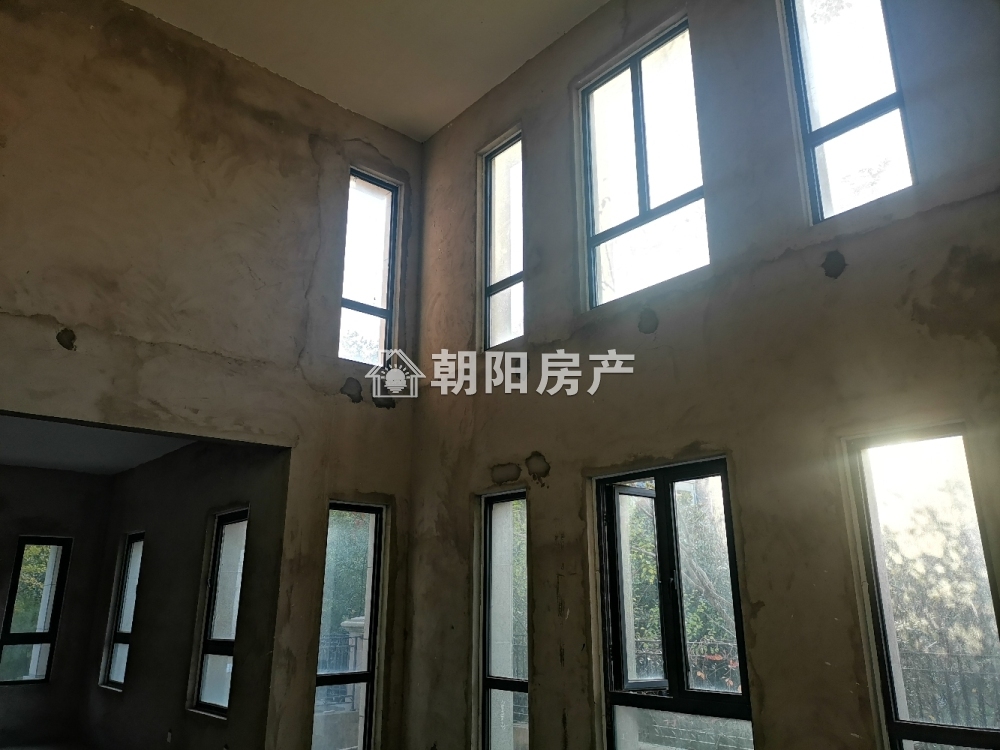 嶺秀山南 633平 南向8室5卫别墅 免税 毛坯