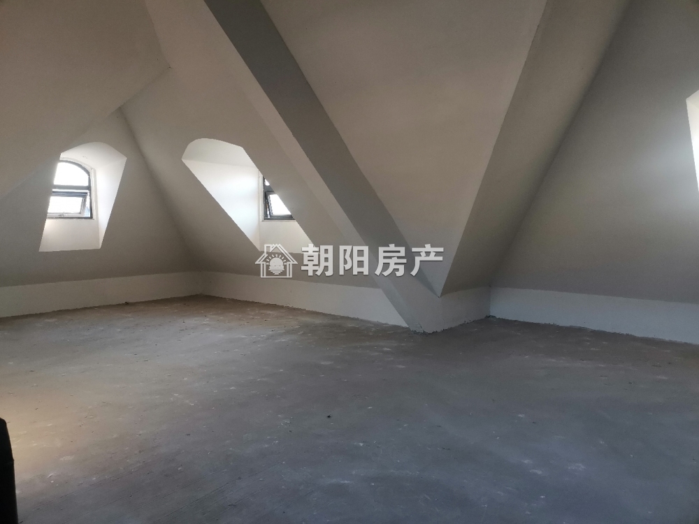 嶺秀山南 633平 南向8室5卫别墅 免税 毛坯