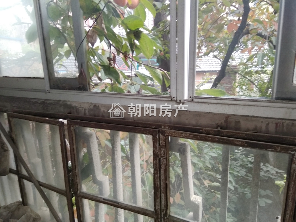 公安大院 62平 南向两室 洞二学区 满两年 采光好