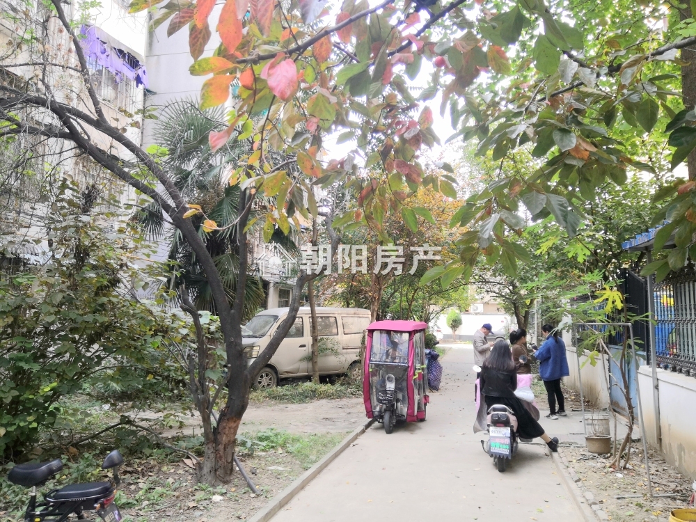 梅园小区 123平 精装三居南向 学区房 交通便利 满五唯一