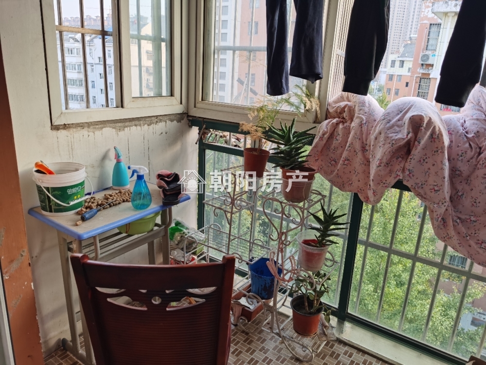 金丰易居二期 81平 南向采光好三室一厅 免税 交通便利