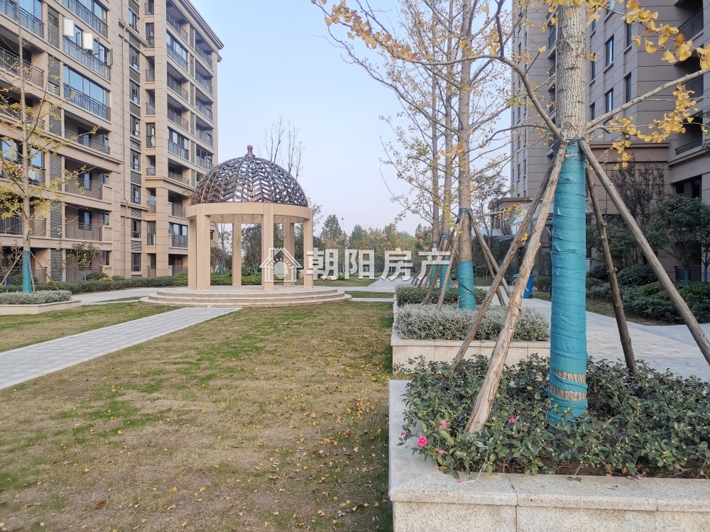龙成奥韵东区 126平 南向三室两卫 洋房毛坯 学区房 配套齐全