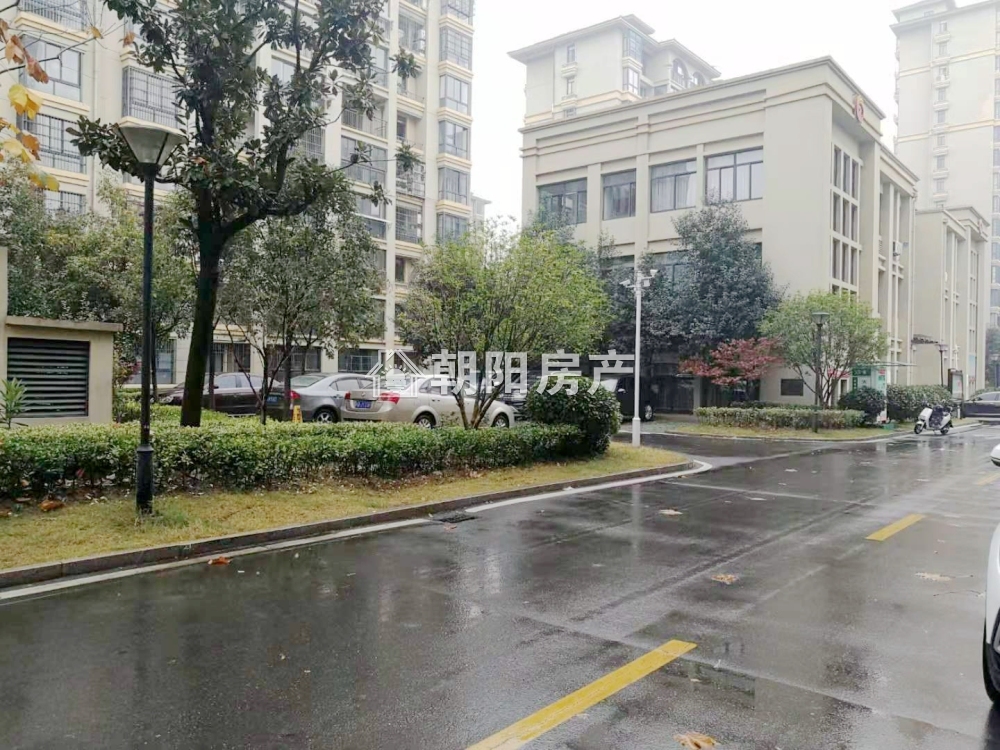 春雨梧桐 115平 南向三室 满两年 学区房