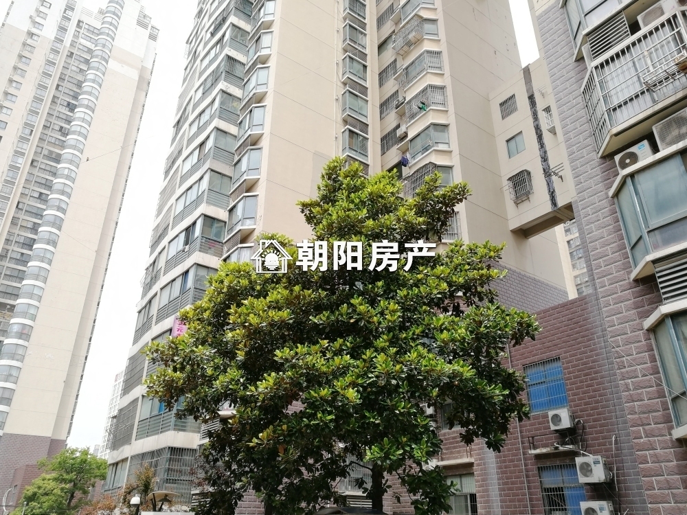 新时代广场 131平 南向高楼层三室 学区房 满两年 采光好