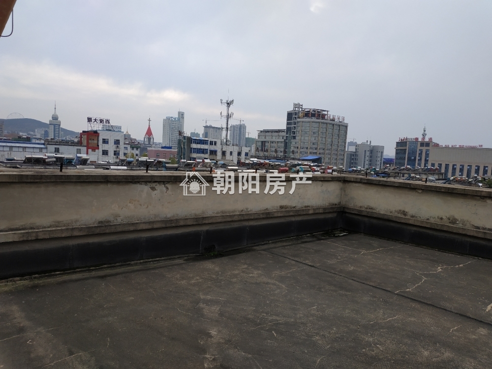 沁园小区 165平 朝南四室采光好 独家房源 学区房 交通便利