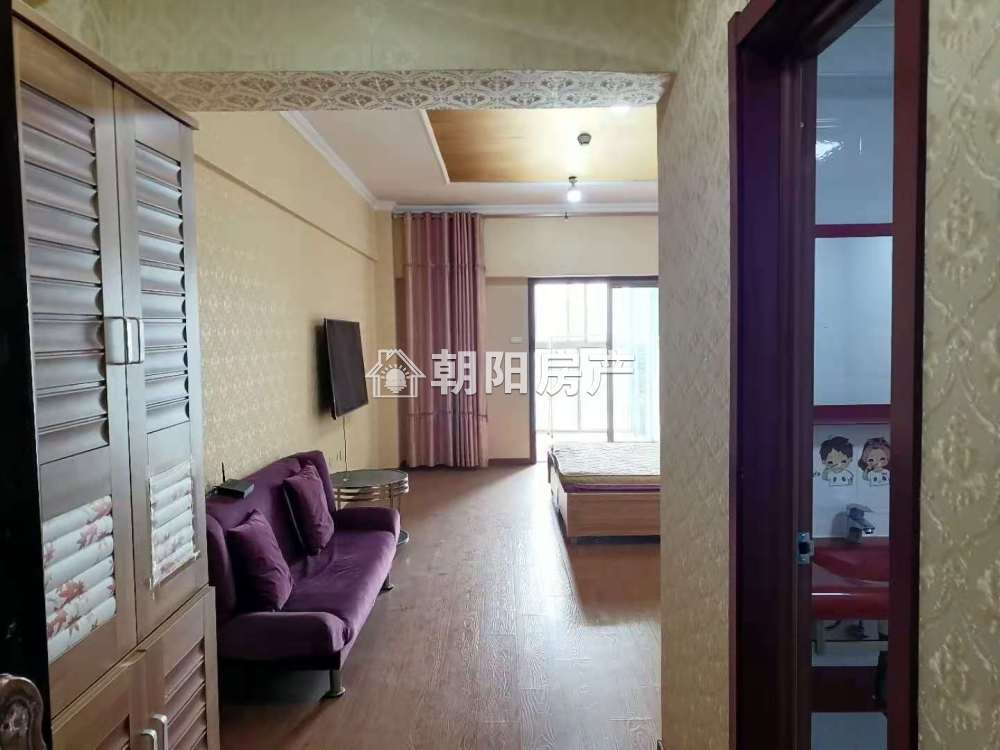 海沃世贸 53平 南北通透一室一厅 精装 交通便利