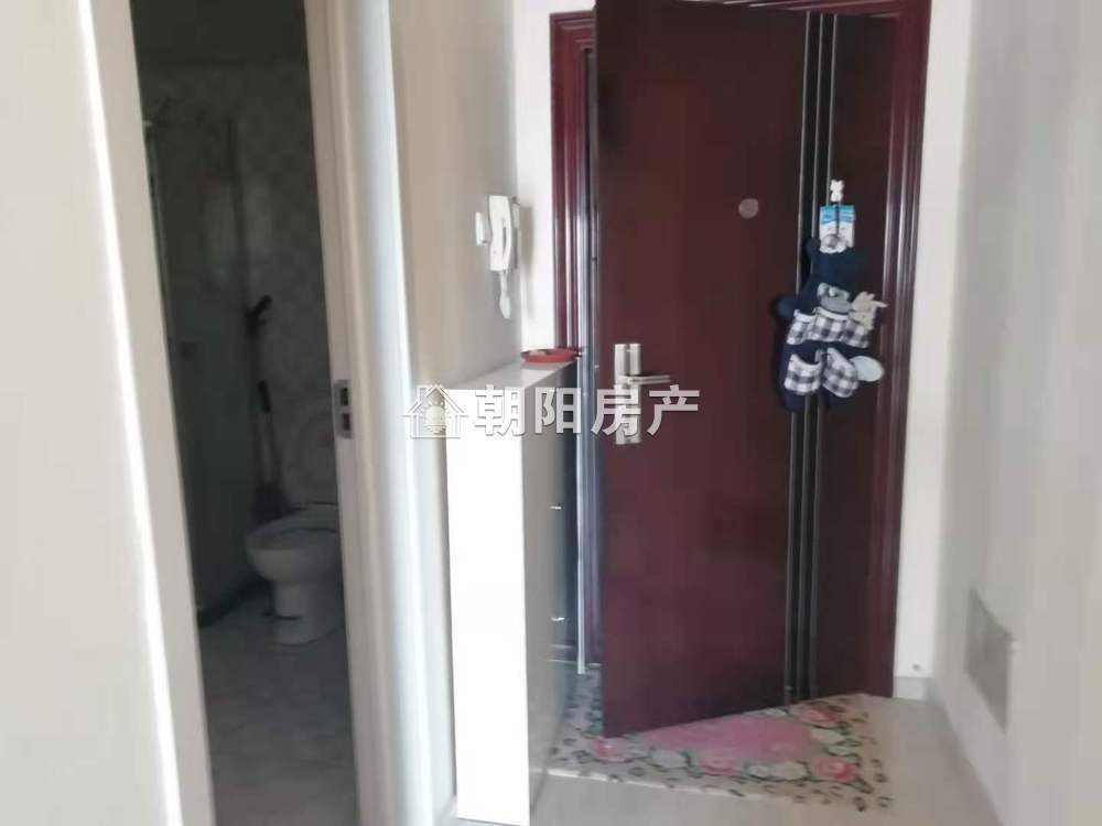 朝阳帝堡 57平 西向精装一室 学区房 满两年