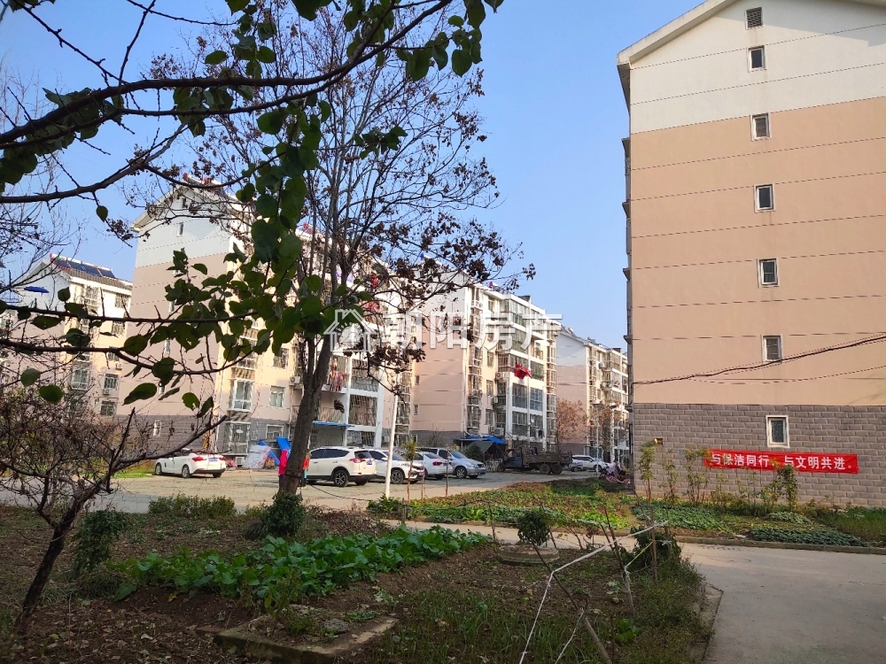 九龙岗农民新村 90平 南向三居 学区房 1222元/平 随时看房