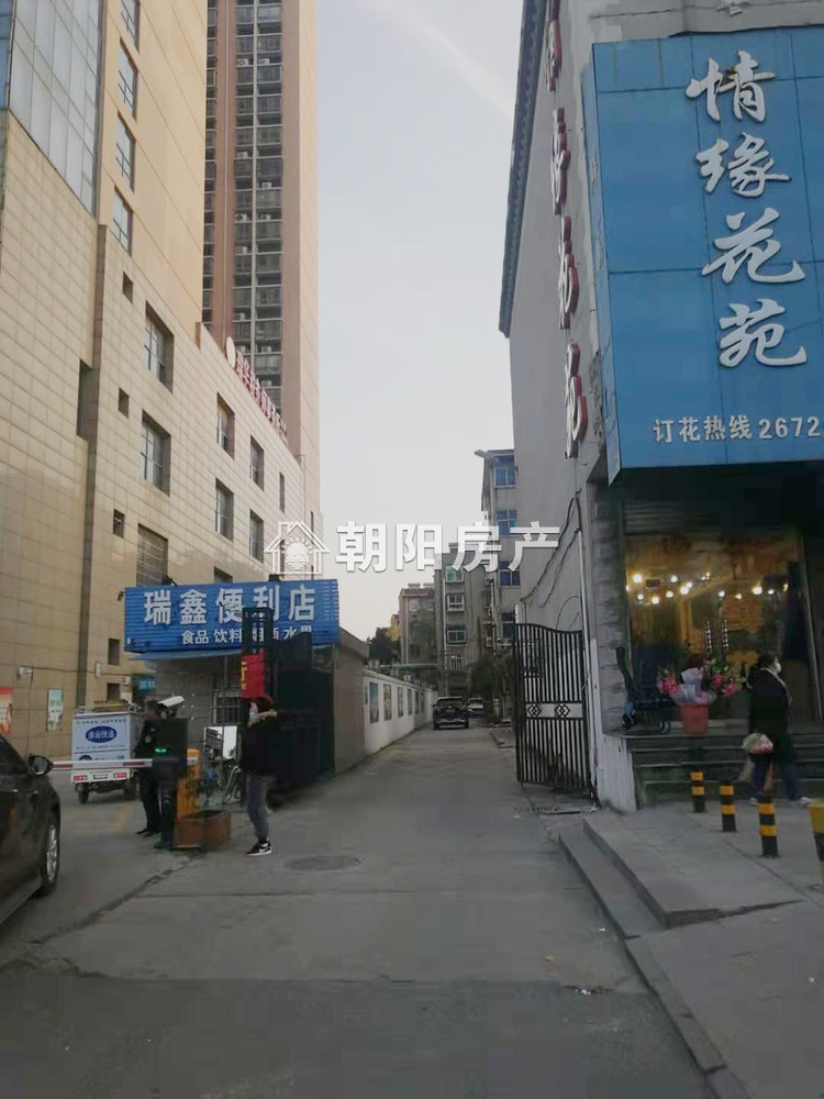 朝阳市容局 58平 南向精装两居 免税学区 交通便利