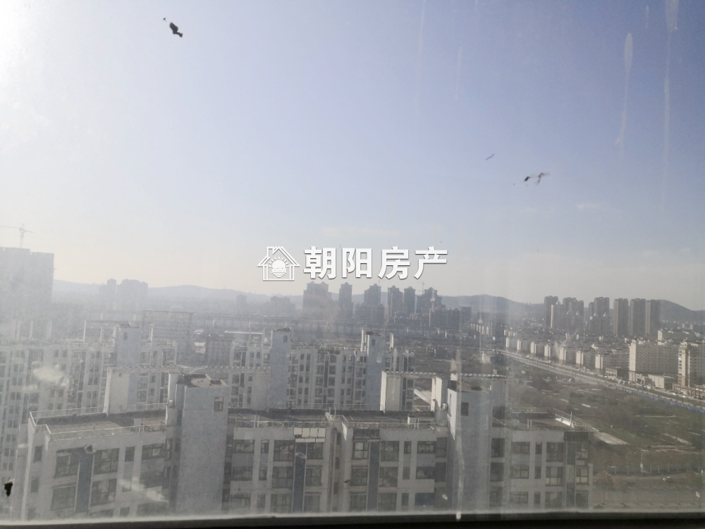力达明和绿洲 162平 南向大三居 满两年 毛坯可定制