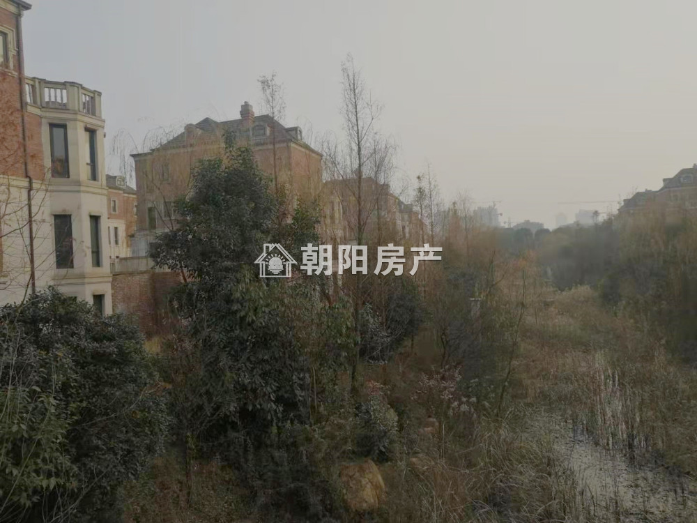 嶺秀山南 359平 纯别墅五室四卫 满两年 英式建筑 随时看房