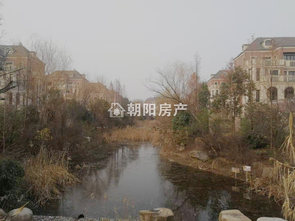 嶺秀山南 359平 纯别墅五室四卫 满两年 英式建筑 随时看房
