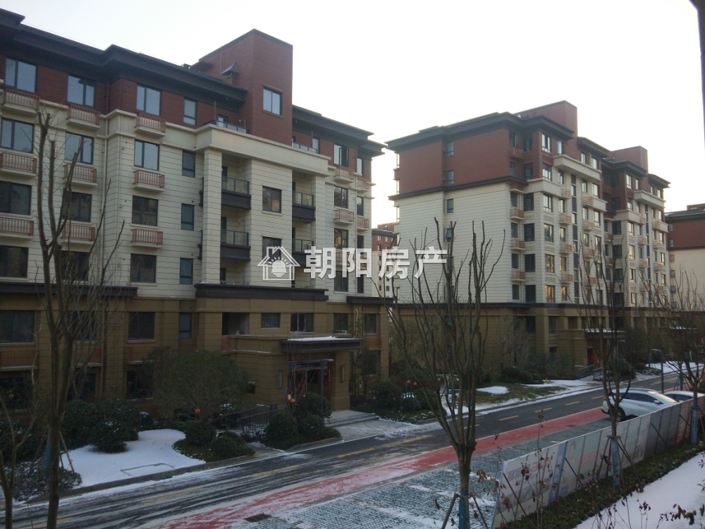 南山里四室两厅毛坯洋房吉房出售
