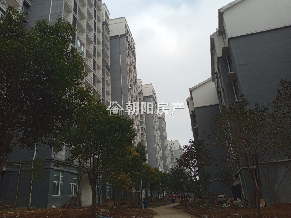 西城嘉园 95平 南向采光好三室 毛坯 随时看房