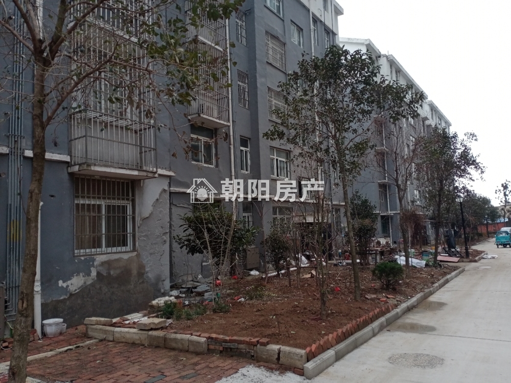 西城嘉园 95平 南向采光好三室 毛坯 随时看房