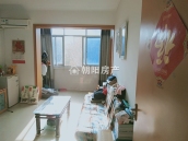 桂苑东区 50平 南向精装两居 满两年 交通便利