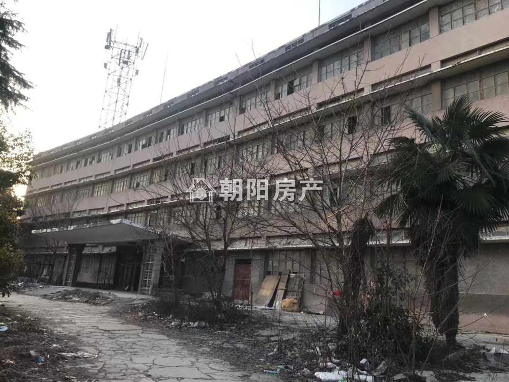 建井新村 3000平独立式厂房 交通便利 低楼层出租